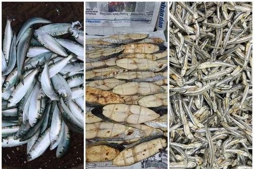 3 loại cá 'tốt hơn cá hồi' bán đầy chợ Việt