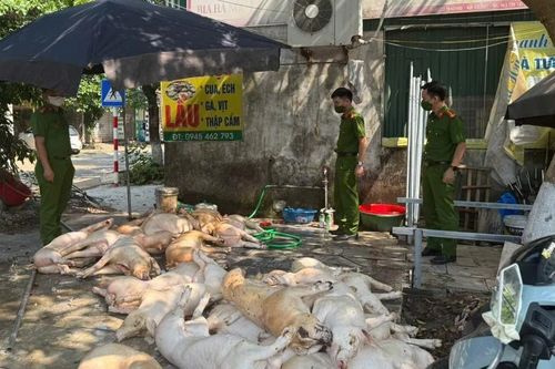 Phát hiện hơn 1 tấn thịt lợn 'bẩn' chuẩn bị đưa vào bếp ăn công nhân