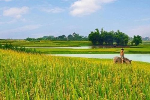 Tháng Năm về, gọi hè sang