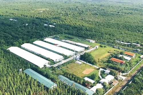 Một doanh nghiệp chăn nuôi ở Long An báo lãi 2.100 tỷ, vượt mặt nhiều 'đại gia'