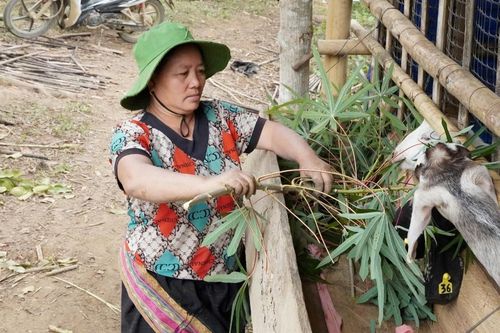 Xã đầu tiên của huyện biên giới Mường Lát về đích nông thôn mới