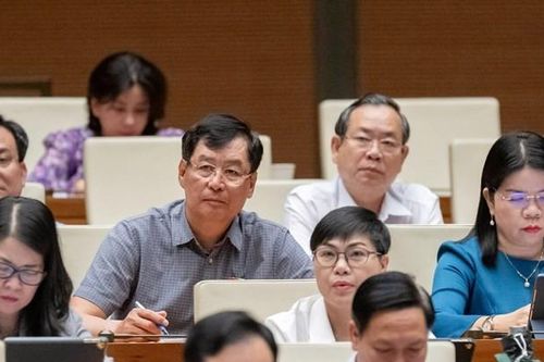 Cần có cơ chế hỗ trợ phù hợp cho các 'nhà khoa học Hai lúa'
