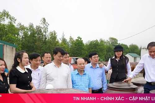 Cán bộ cốt cán hợp tác xã được 'cầm tay chỉ việc', tăng hiệu quả hoạt động