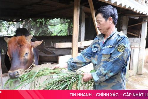 Người cựu chiến binh làm kinh tế giỏi ở Hương Sơn