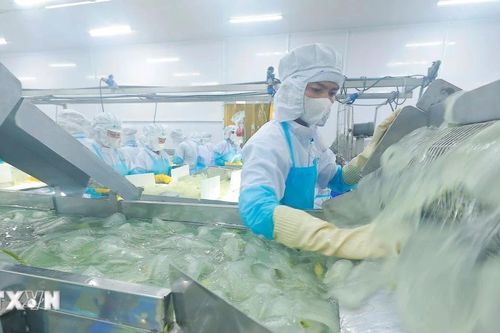 Thủ tướng chỉ đạo chấn chỉnh kỷ cương tạo môi trường kinh doanh cho doanh nghiệp