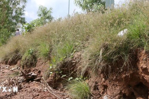 Sóc Trăng: Sạt lở trên đê sông Tả Hữu đe dọa đến sản xuất, sinh hoạt của dân