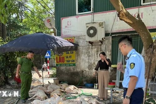 Phát hiện thịt lợn, chân gà 'bẩn' tại nhà hàng, công ty thực phẩm sạch