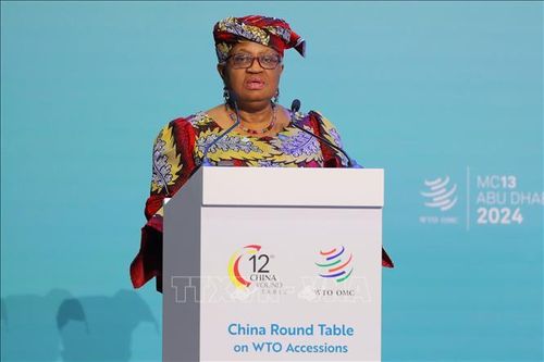 Tổng Giám đốc WTO: Thương mại tự do toàn cầu đang lâm vào khủng hoảng