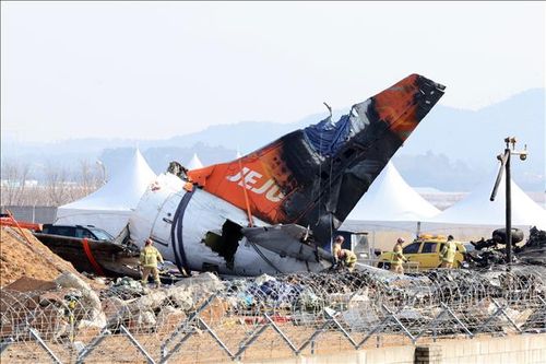 Hàn Quốc: Gia đình nạn nhân vụ tai nạn máy bay của hãng Jeju Air đệ đơn kiện 15 người