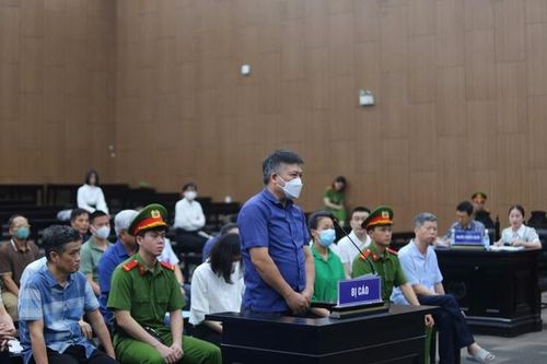 Sai phạm hóa đơn, Giám đốc công ty đất hiếm nói do dịch Covid-19