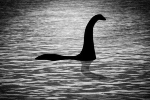 Thợ săn quái vật hồ Loch Ness phát hiện ra 'sinh vật' có bướu trên máy ảnh - 'khả năng duy nhất là Nessie'