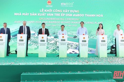 Khởi công xây dựng nhà máy sản xuất ván tre ép gần 3.200 tỷ đồng