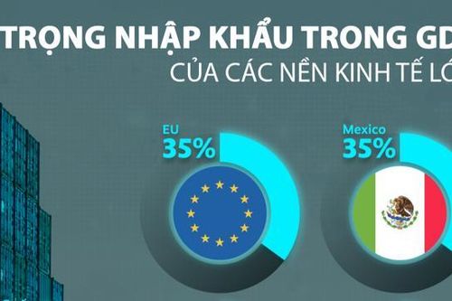 Các nền kinh tế lớn phụ thuộc vào hàng hóa nhập khẩu như thế nào?