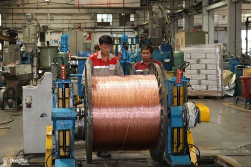 Đồng Nai lập 8 tổ công tác kiểm đếm đất đai, tài sản các công ty trong Khu công nghiệp Biên Hòa 1