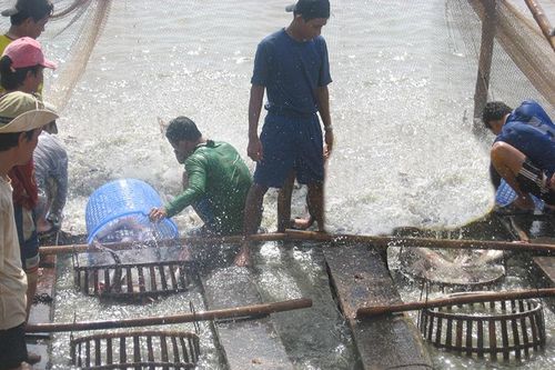 Tập trung chỉ đạo, điều hành phát triển kinh tế - xã hội có hiệu quả