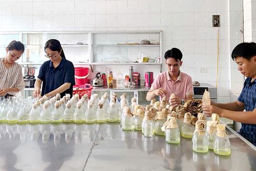 Giải pháp cho tương lai xanh