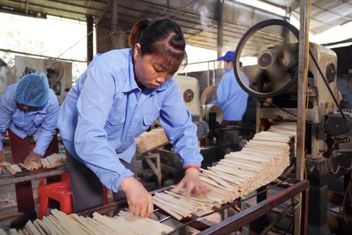 Hạ Hòa phát triển công nghiệp, tiểu thủ công nghiệp
