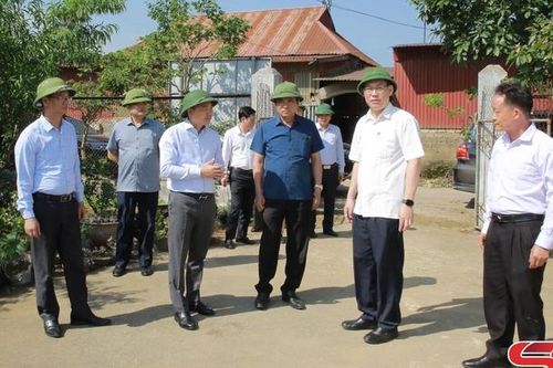 Đồng chí Chủ tịch UBND tỉnh kiểm tra thực địa việc thực hiện Đề án 666 tại thị xã Mộc Châu