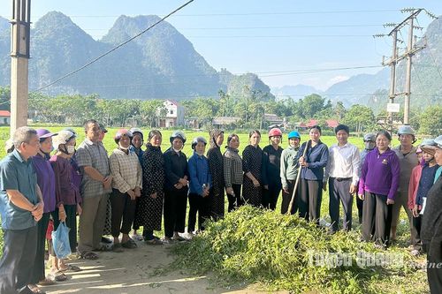 Tập huấn kỹ thuật sản xuất và quản trị vùng nguyên liệu lạc huyện Lâm Bình