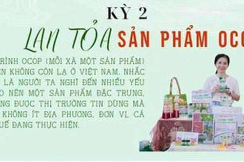 Định vị thương hiệu, thị trường cho sản phẩm Huế - Kỳ 2: Lan tỏa sản phẩm OCOP