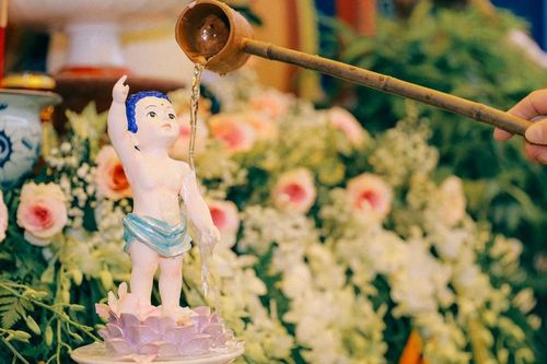 Nhiều hoạt động được tổ chức trong mùa Phật đản Phật lịch 2569