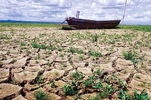 Sa mạc hóa lặng lẽ bào mòn đất đai