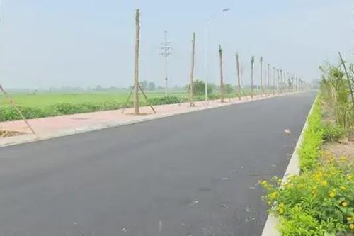 Thông xe tuyến kết nối tỉnh lộ 247 và đường trục phía Nam