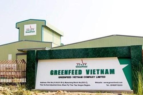 GreenFeed báo lãi hơn 2.100 tỷ đồng, vượt nhiều 'ông lớn' nông nghiệp