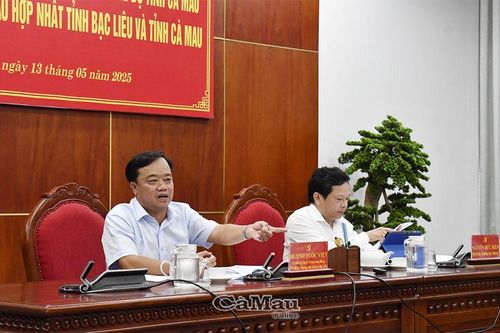 Thảo luận kịch bản tăng trưởng của tỉnh Cà Mau sau hợp nhất