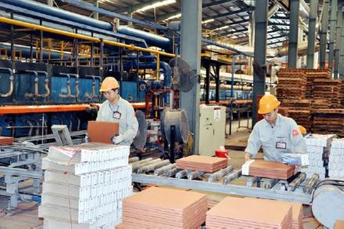 Bài 1: Xóa bỏ định kiến 'con đẻ, con nuôi'