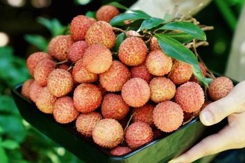 Vải thiều 'vượt biên' vào bếp nhà sang: 5 món tráng miệng chuẩn fine dining từ thứ quả dân dã