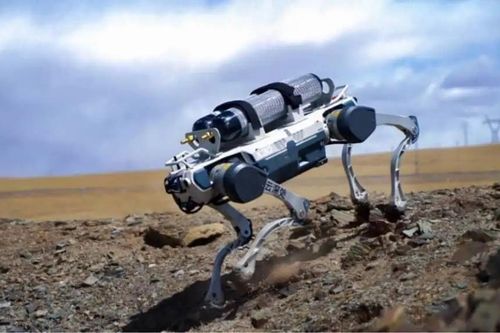 Robot chó xuất hiện dày đặc ở Singapore