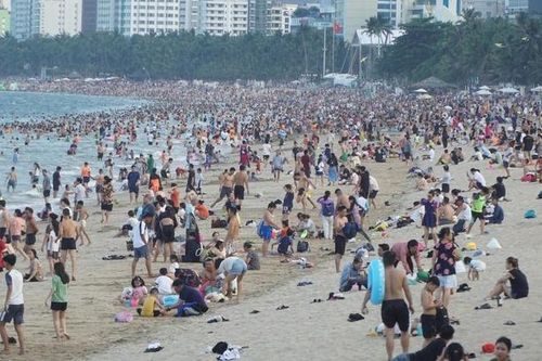 Xuất hiện sứa lửa nguy hiểm ở biển Nha Trang