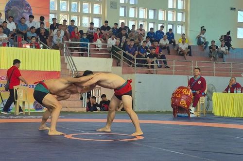 Gần 200 đô vật tranh tài tại Giải vô địch Vật dân tộc quốc gia 2025