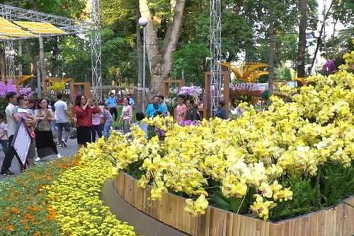 Festival Hoa lan TP. HCM lần 3 sẽ diễn ra từ ngày 16 đến 20/5