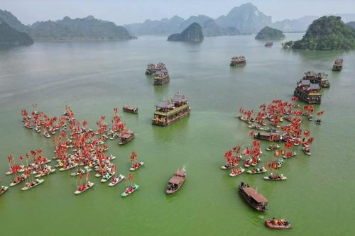 Miễn phí ăn chay, thuyền, xe điện khi đến chiêm bái xá lợi Đức Phật tại chùa Tam Chúc