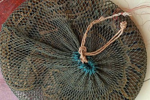 Trăn đất nặng hơn 10kg bò vào vườn nhà dân