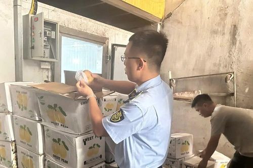 Thái Nguyên tiêu hủy gần 1,2 tấn hoa quả không rõ nguồn gốc