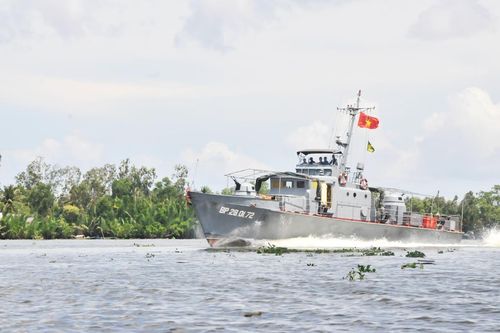 Như những cánh hải âu vững vàng trên biển
