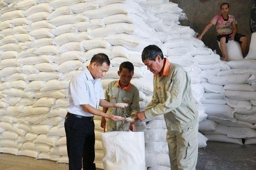 Chính phủ cấp hơn 668 tấn gạo dự trữ quốc gia hỗ trợ người dân 3 tỉnh