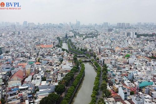 TP HCM rà soát hệ thống cây xanh, bảo đảm an toàn mùa mưa bão