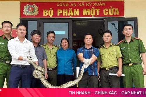 Bàn giao cá thể trăn đất nặng hơn 10kg cho Vườn Quốc gia Vũ Quang