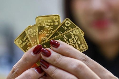 Nóng nhất trong ngày: Giá vàng trong nước bỏ xa thế giới; Chim quý tộc giá nửa tỷ/con được cấp hộ chiếu