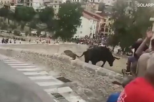 CLIP: Bò tót 580kg lao khỏi lan can, nhảy từ độ cao 15 mét khiến đám đông kinh hoàng