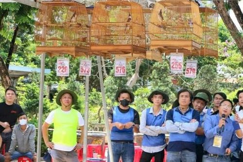 Thành phố Huế: Khuyến cáo người chơi chim cảnh cần có giấy tờ hợp pháp