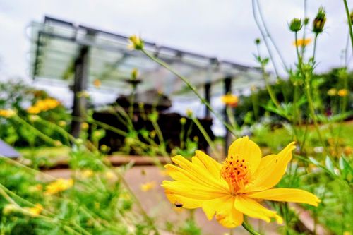 Bản tin Dự báo thời tiết ngày 15/5/2025
