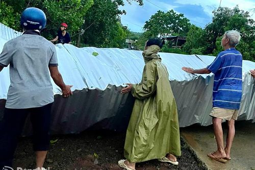 Mưa dông quật đổ nhiều cây lớn tại Định Quán, một phụ nữ bị cây đè trúng phải đi cấp cứu