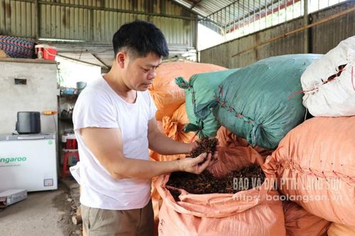 'Anh Em' cầu nối đầu ra lâm sản