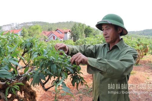 Người biến đào thành bình ở Hữu Lũng