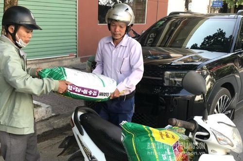 Giá các vật tư phân bón có xu hướng tăng nhẹ